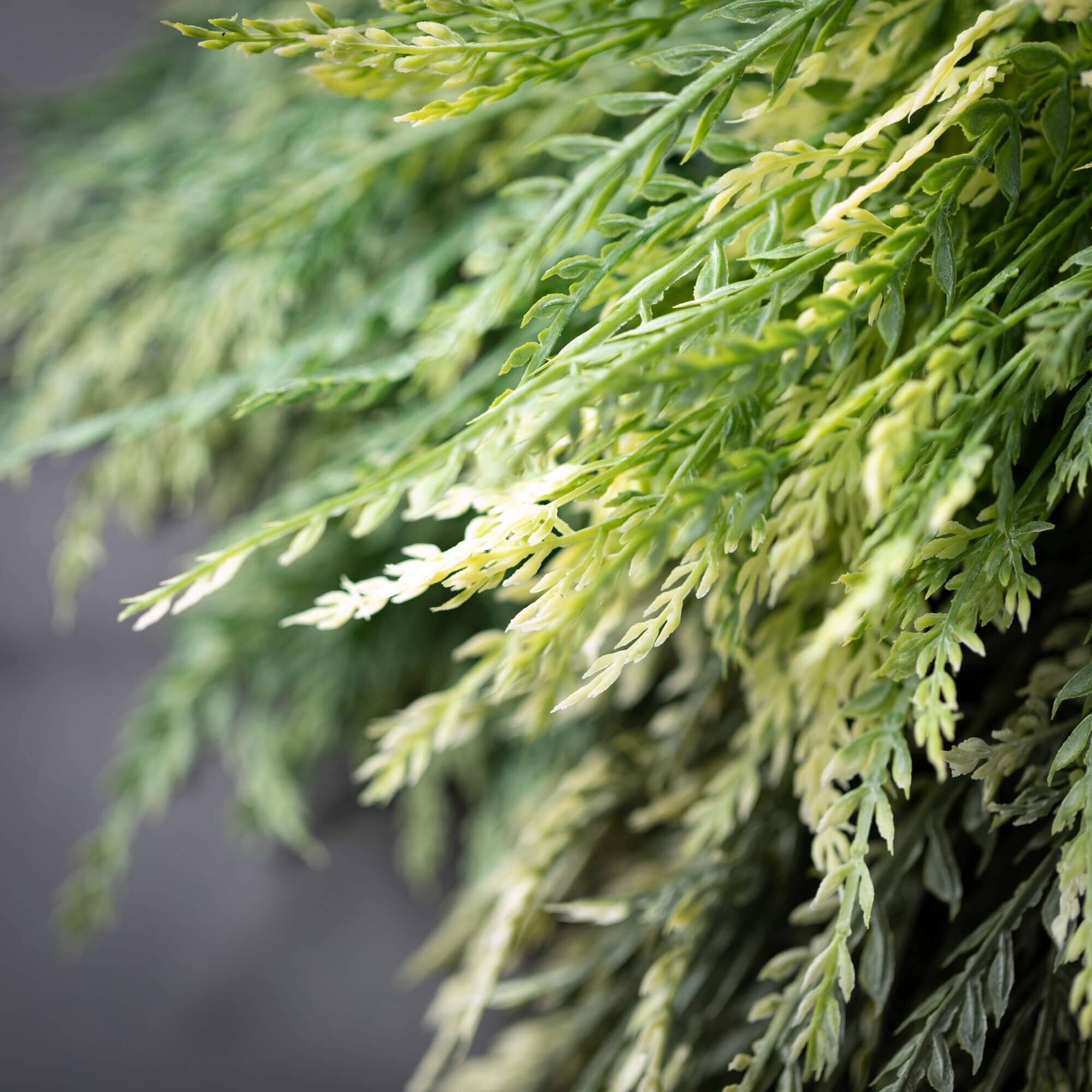 Sullivans 13" Artificial Saw Grass Bush Set of 3 Bed Bath & Beyond